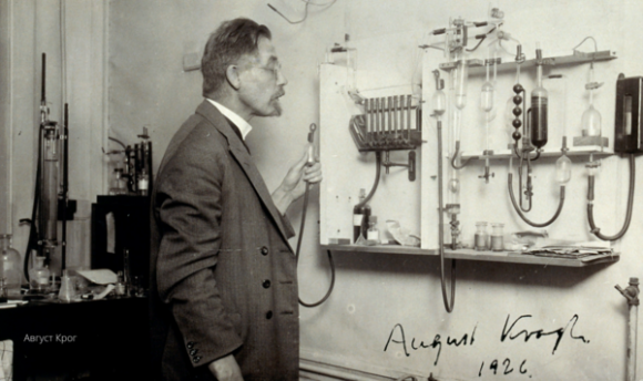 История создания инсулина: взгляд со стороны - 7 фото История создания инсулина: взгляд со стороны - 7 изображение