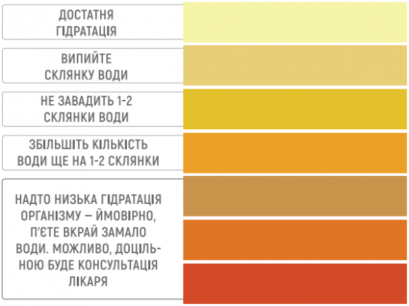 Діабет: 3 головні правила у харчуванні для підтримання здоров'я нирок - 2 фото Діабет: 3 головні правила у харчуванні для підтримання здоров'я нирок - 2 изображение