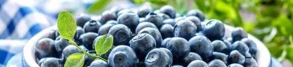 Чорниця регулює рівень цукру: міфи та реальність - 3 фото Чорниця регулює рівень цукру: міфи та реальність - 3 изображение