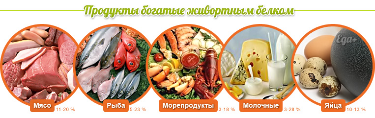 Зачем организму нужны белки - изображение