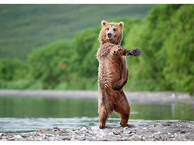 9 идей для безопасных и эффективных тренировок при диабете - 3 изображение