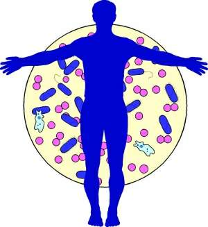 30 лет поисков панацеи от диабета. Синтетическая биология - новые решения на горизонте - 4 изображение