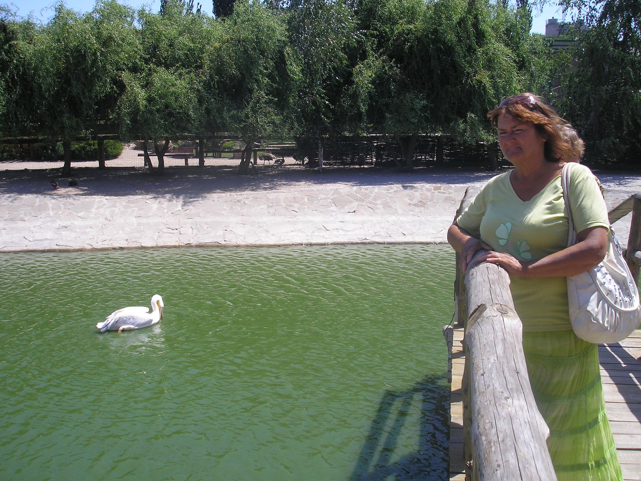 Летний фото-конкурс от Liqberry и журнала СахарОК: участники - 5 изображение