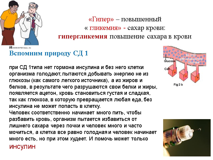 Гипергликемия: обучающая презентация для детей от Junior DiabEduc - 2 изображение