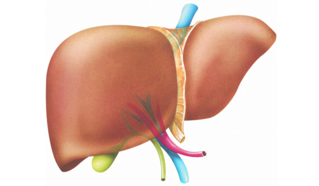 ''Сладкая правда'' - 3 изображение