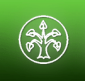 Полезные диабет-контакты России - 5 изображение