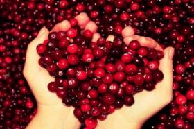 15 полезных ягод для людей с диабетом - 8 изображение