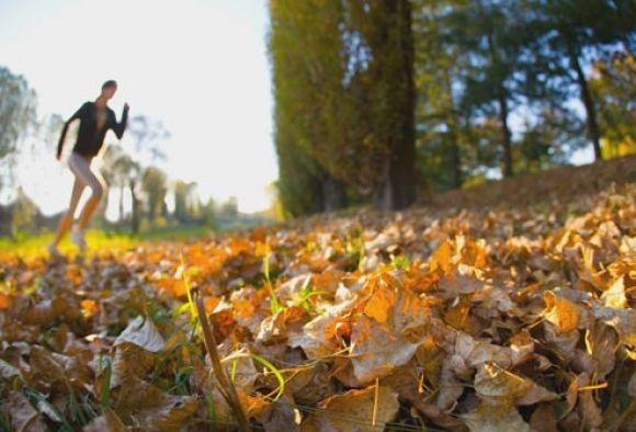 Вся правда о зависимости от сахара - 4 изображение