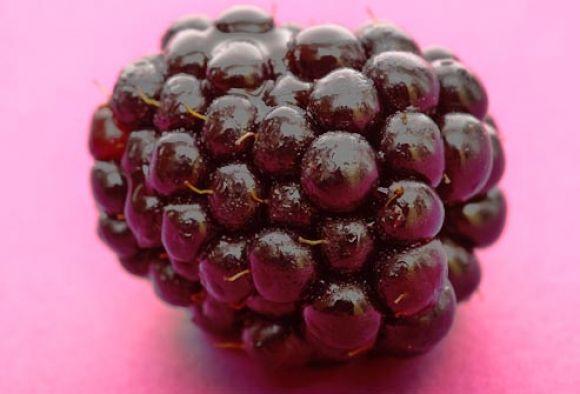 Вся правда о зависимости от сахара - 3 изображение