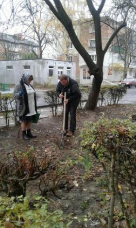 Экоинициатива от Санофи: высажено 260 деревьев и кустов в Виннице! - 4 изображение