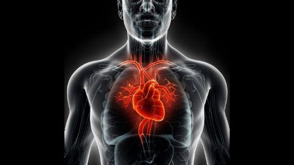 Сердечная недостаточность: чего недостает сердцу? - 2 изображение