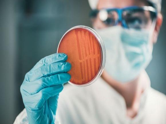 33 тысячи человек ежегодно умирает из-за устойчивости бактериальных инфекций к
антибиотикам - 3 изображение