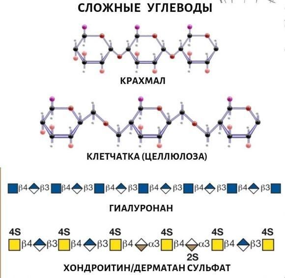 Углеводы: какие, сколько и нужны ли они вообще? - 3 изображение