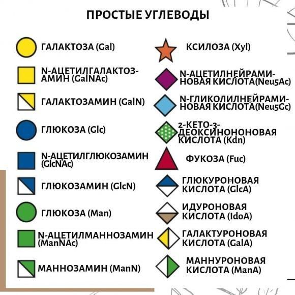 Углеводы: какие, сколько и нужны ли они вообще? - 4 изображение
