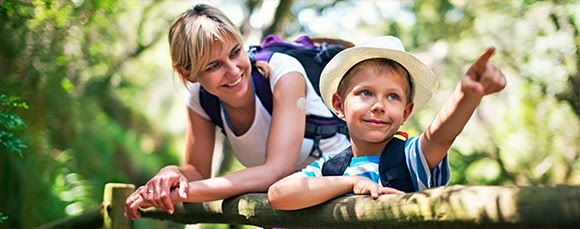 Правила использования системы FreeStyle Libre - 3 изображение