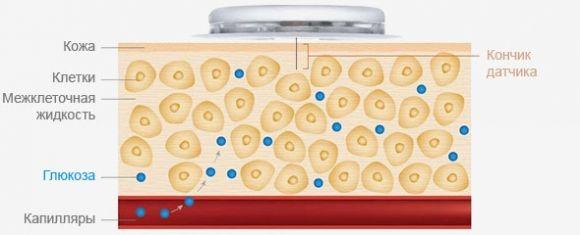 Методика измерений FreeStyle Libre - 2 изображение