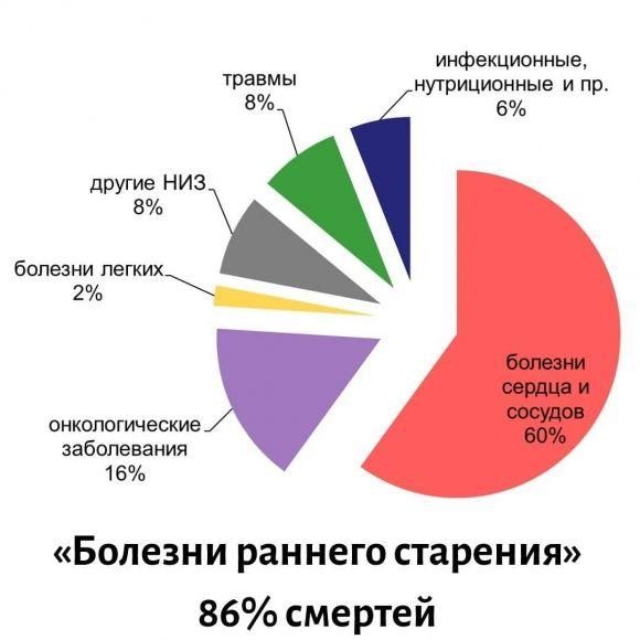 Что влияет на скорость старения организма? - 2 изображение