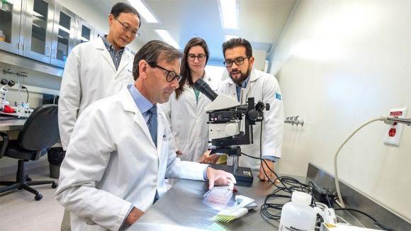 Канадские исследователи создают клетки, продуцирующие инсулин из крови пациентов - 3 изображение