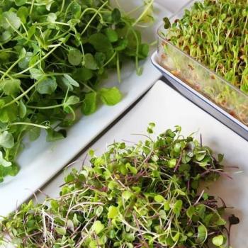 Идеи подарков на День Валентина человеку с диабетом от SaharOK Shop - 10 изображение