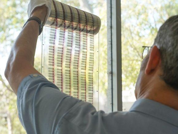 Проколы пальцев в прошлом?! Новый неинвазивный способ проверки уровня сахара - 4 изображение