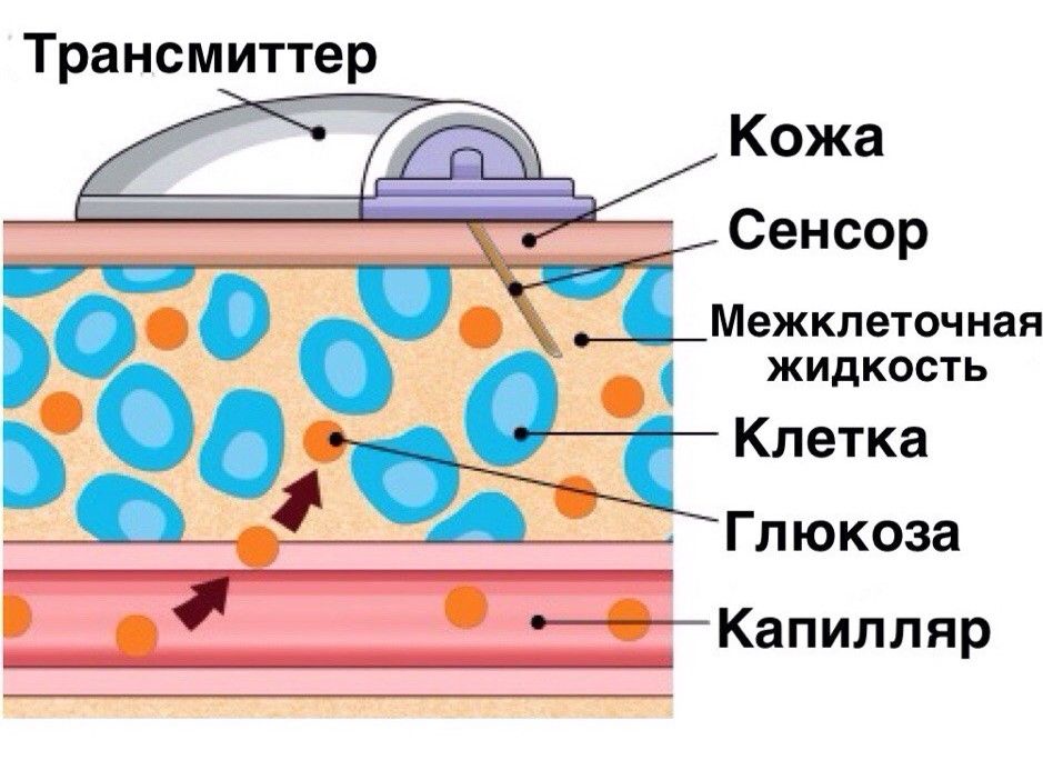 Трансмиттеры для FreeStyle Libre - 2 изображение