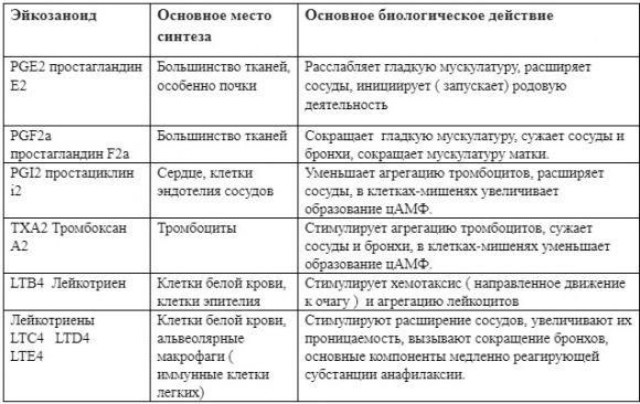Полиненасыщенные жирные кислоты (ПНЖК). Что нужно знать - 3 изображение