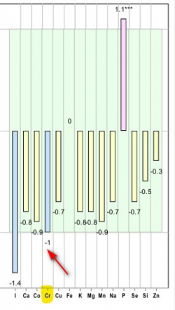 Звенья патогенеза сахарного диабета: слизистая кишечника и дефицит микроэлементов - 2 изображение