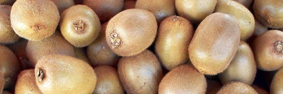 Ківі при діабеті: користь та рекомендації по вживанню - 2 изображение