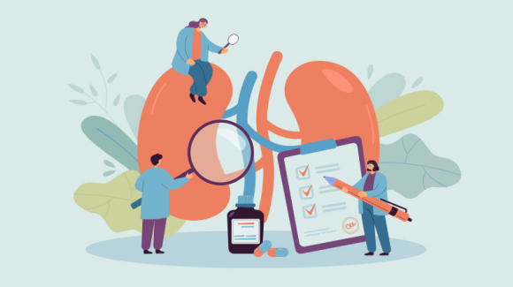 Діабет і нирки: рання діагностика, що рятує життя - 2 изображение